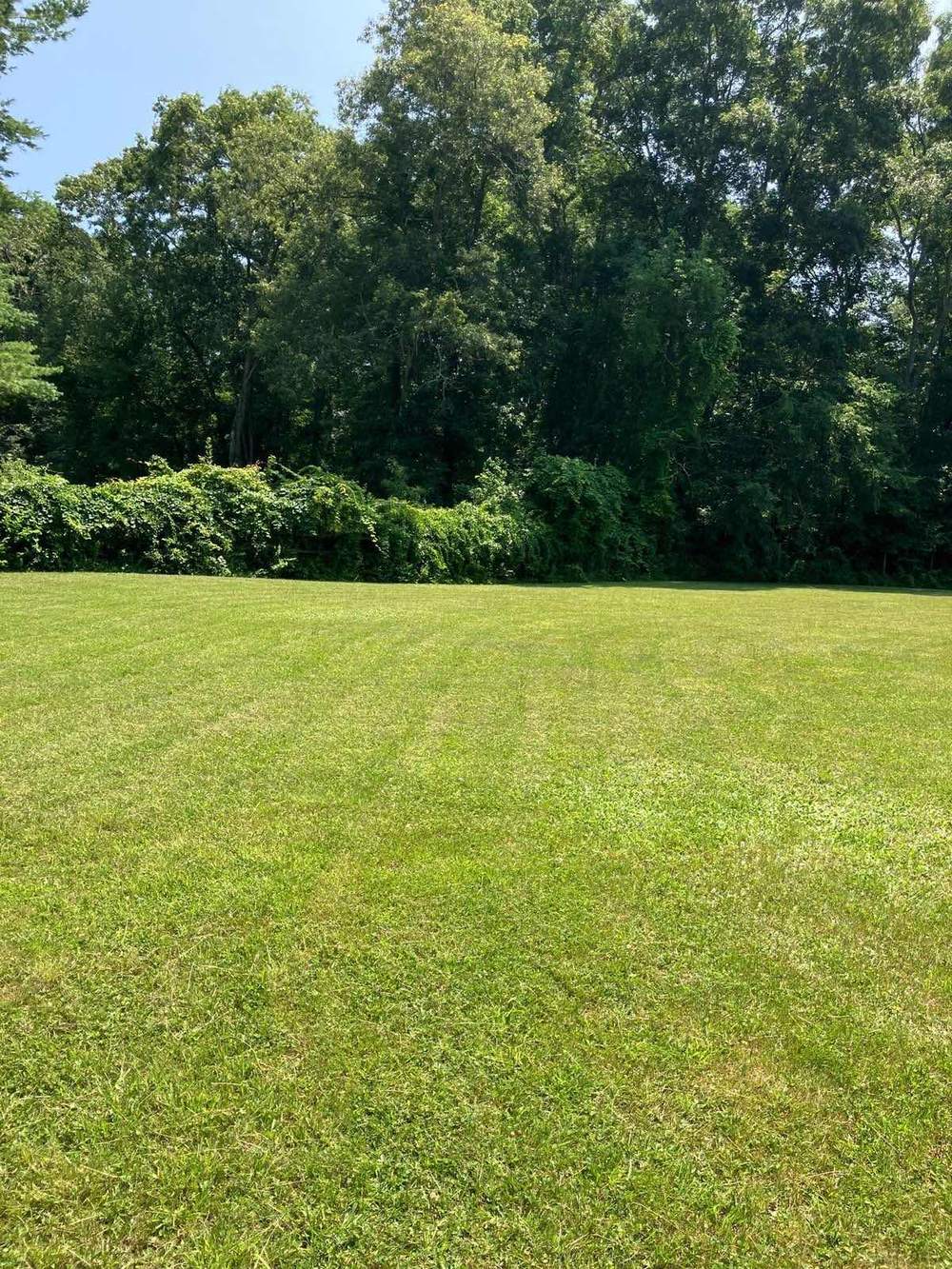 An open lawn in East Lyme, Connecticut, freshly mown edge to edge