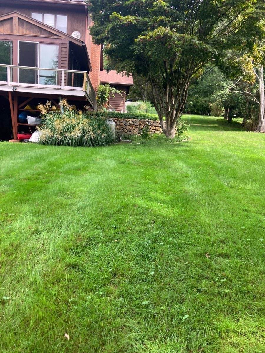 A sloped lawn in East Lyme, Connecticut, cut in stripes up to the house by Outdoor Property Services