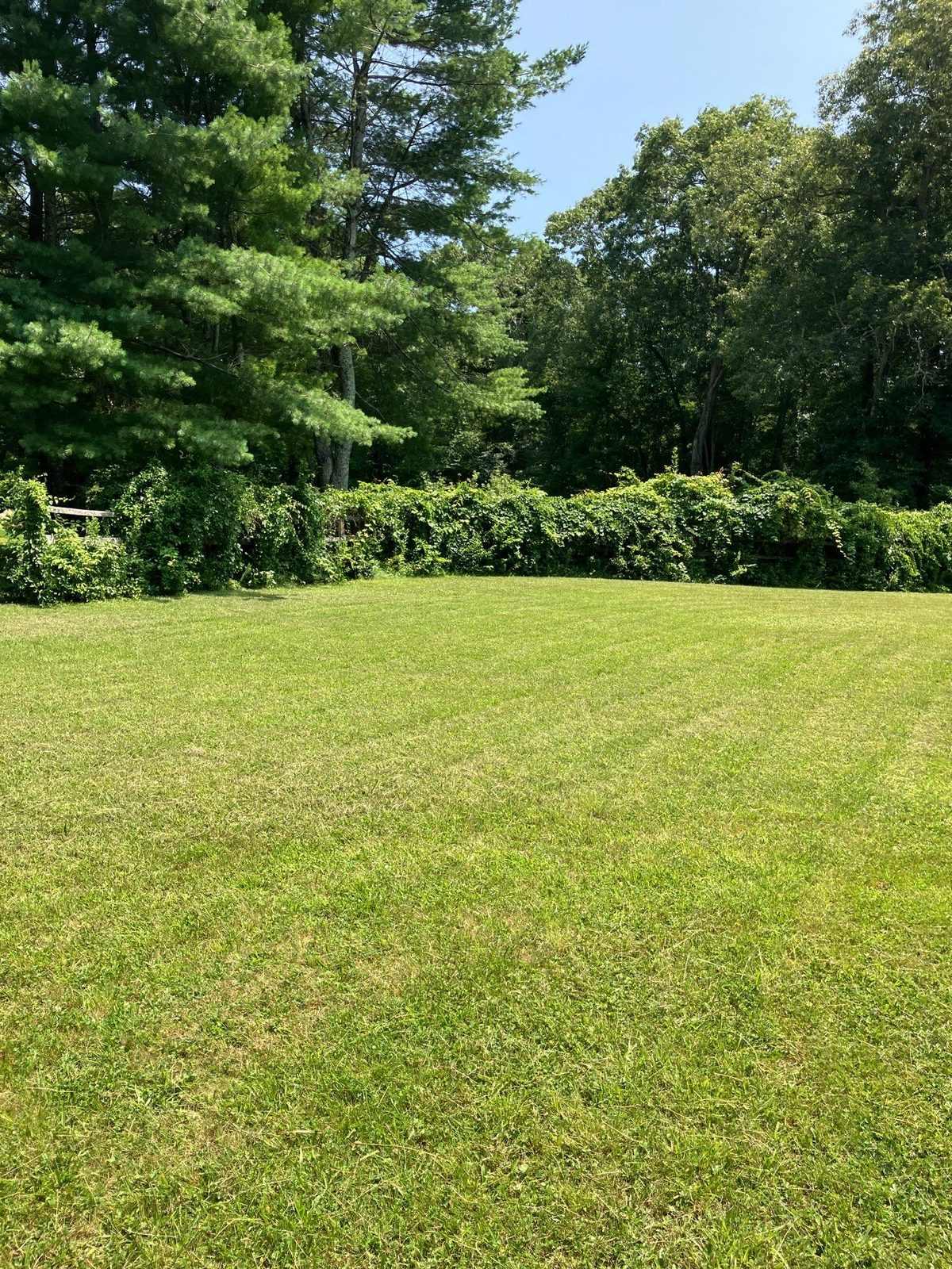 A large lawn cut in clean stripes back to the woods edge in East Lyme, Connecticut
