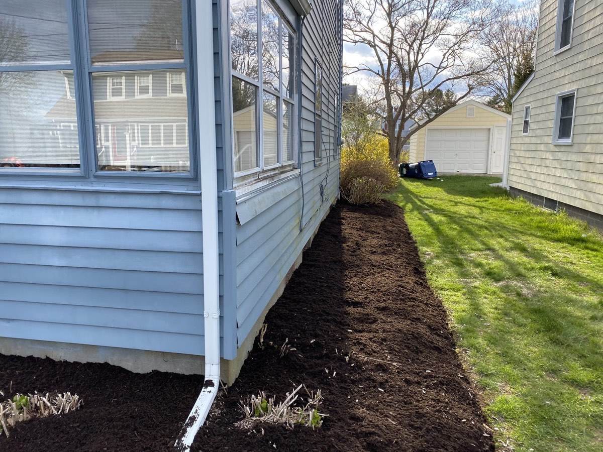 The same southeastern Connecticut foundation bed after fresh mulch, with the edge cut clean to the lawn