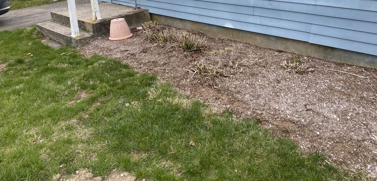 A foundation bed in southeastern Connecticut stripped and edged by Outdoor Property Services, before the mulch went in