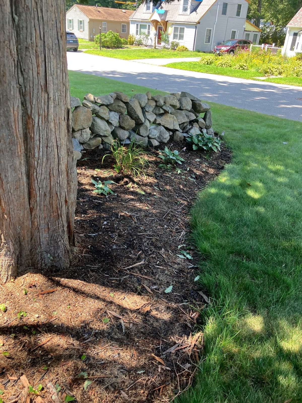 Fresh mulch run out to a cut edge against the lawn on a Groton, Connecticut, property, with a stone wall behind
