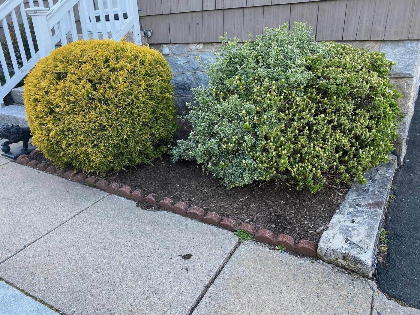 A foundation bed mulched around trimmed shrubs at a walk in southeastern Connecticut by Outdoor Property Services